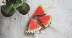 Water Melon to lose weight fast