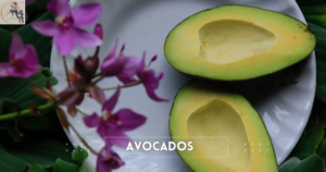 Avocados to lose weight fast